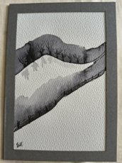 117 landschap grijs